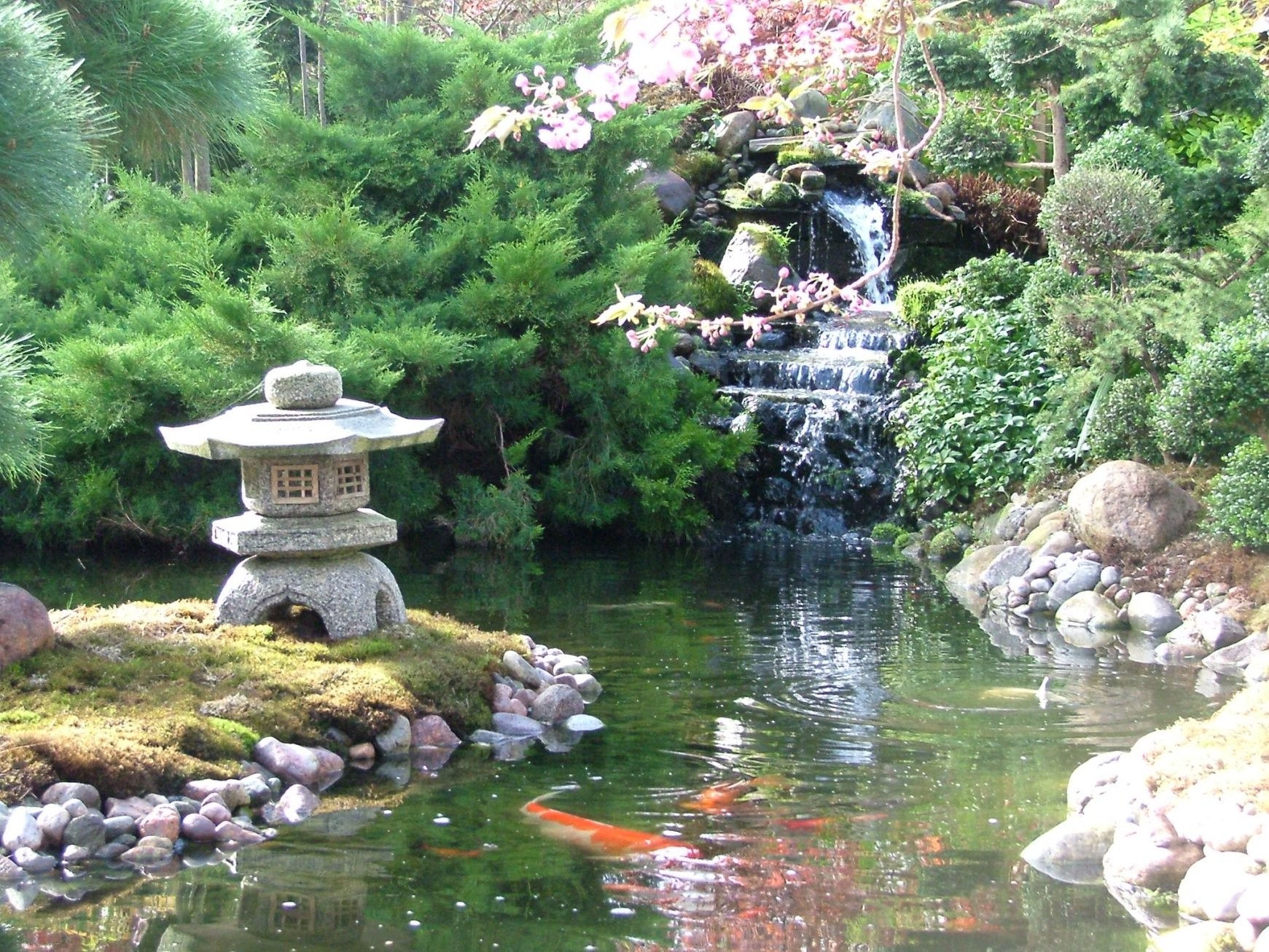 Anleitung Japanischen Garten Selbst Gestalten Wir Klären Auf von Japanischer Garten Gestaltungsideen Photo