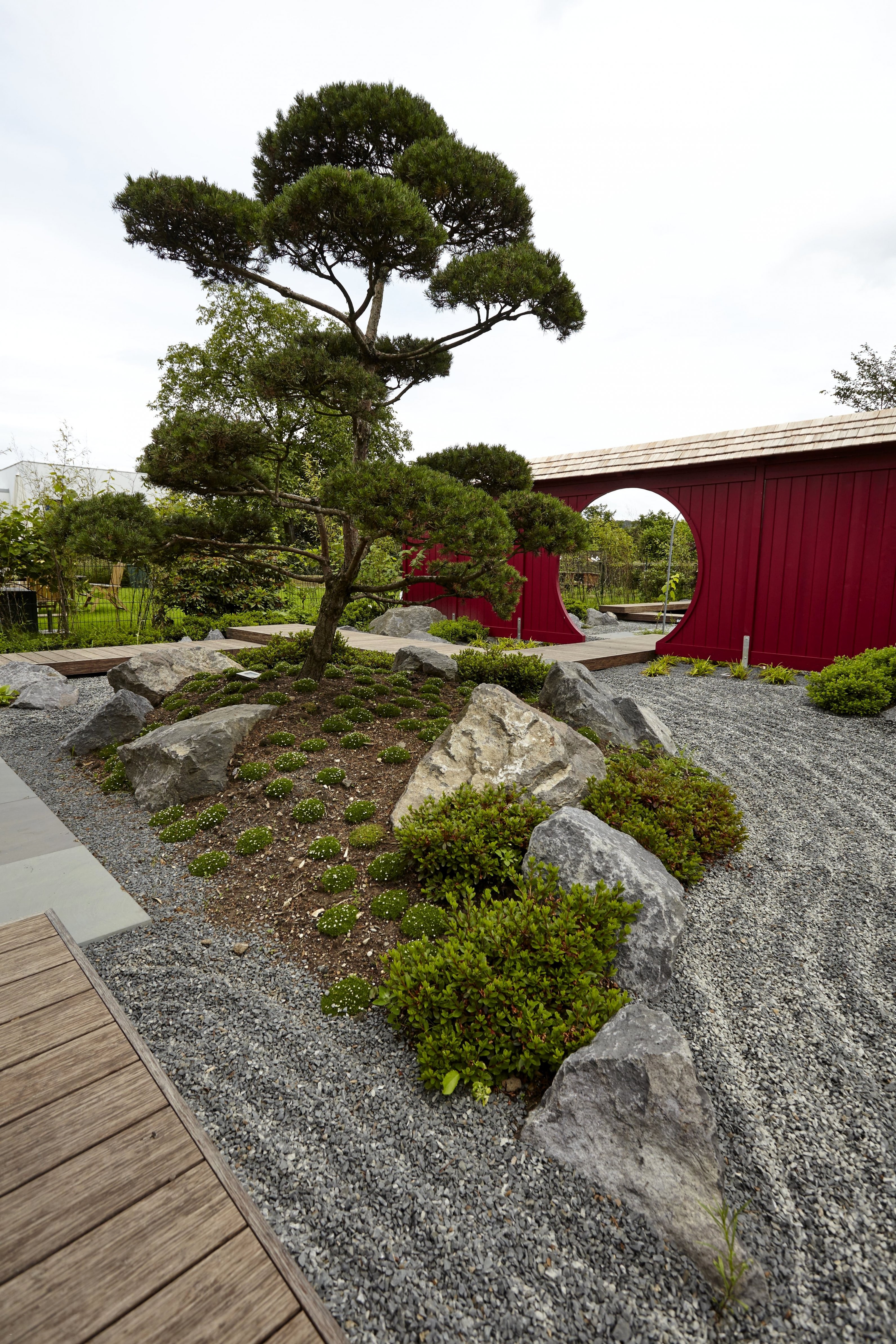Gartengestaltung Japanischer Garten Mit Einzigartig Pflanzen von Pflanzen Für Japanischen Garten Photo