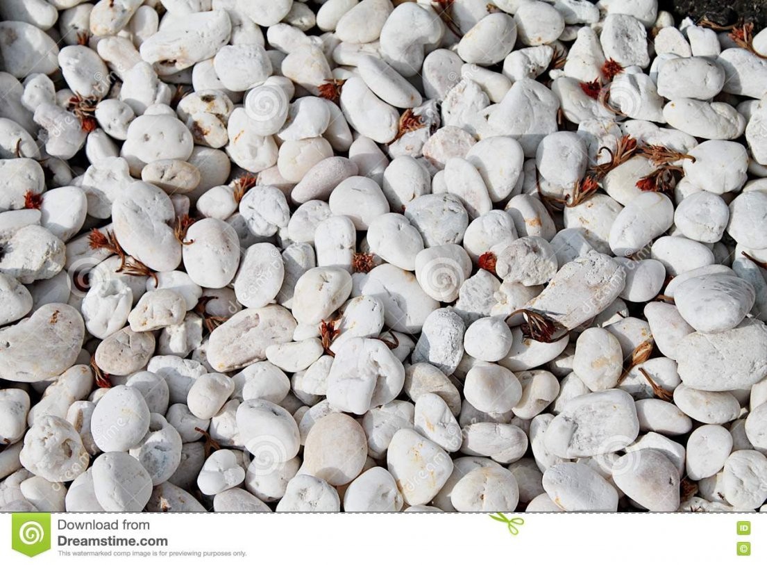Weiße Steine Im Garten Stockfoto Bild Von Stein Material  78176592 von Weiße Steine Garten Photo