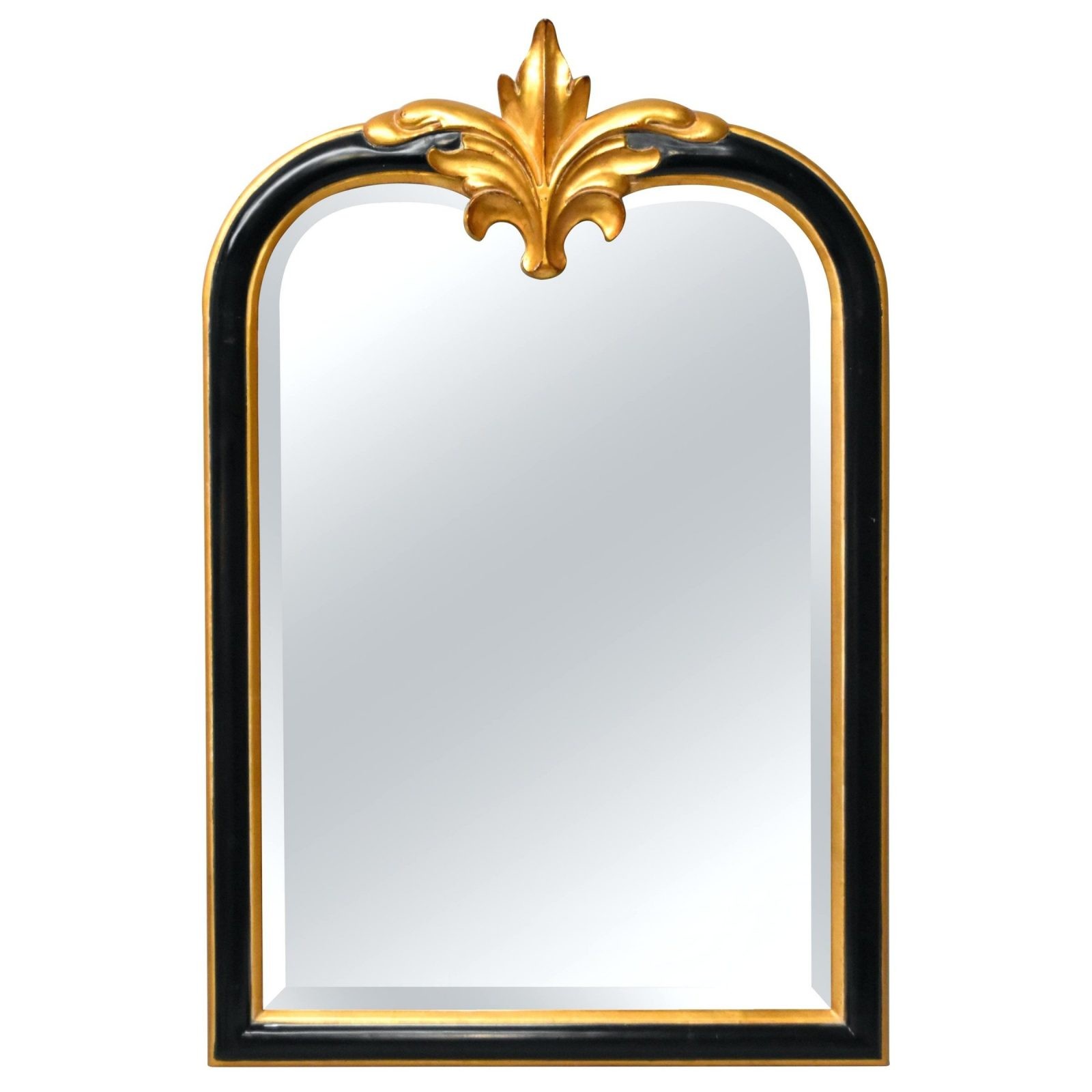 Barock Spiegel Gross Silber Gold Oval – Ncturtlerescueteam von Barock Spiegel Silber Groß Bild