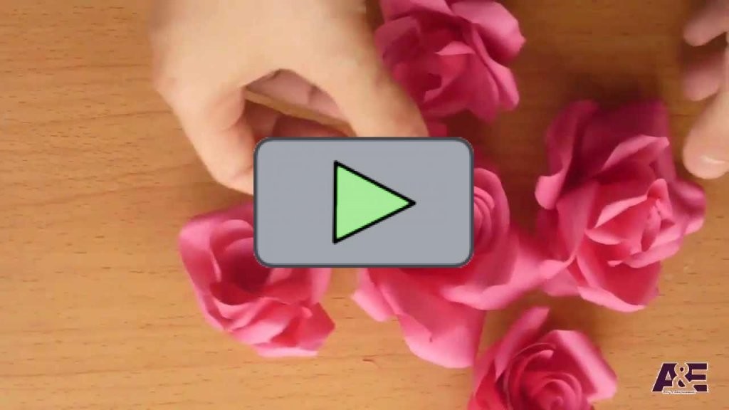 ▷Ganz Einfache Tolle Rosen Aus Papier Basteln  Schlaumich Videos von Rose Basteln Papier Anleitung Photo