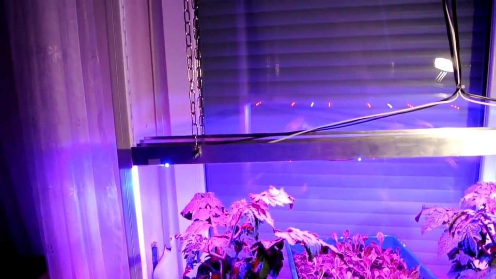 Konstruktion Meiner Led Pflanzenbeleuchtung  Youtube von Led Grow Lampen Selber Bauen Bild