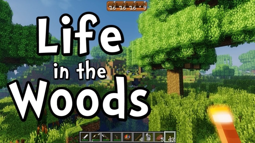 Minecraft  Life In The Woods Modpack  Youtube von Life In The Woods Minecraft Bild
