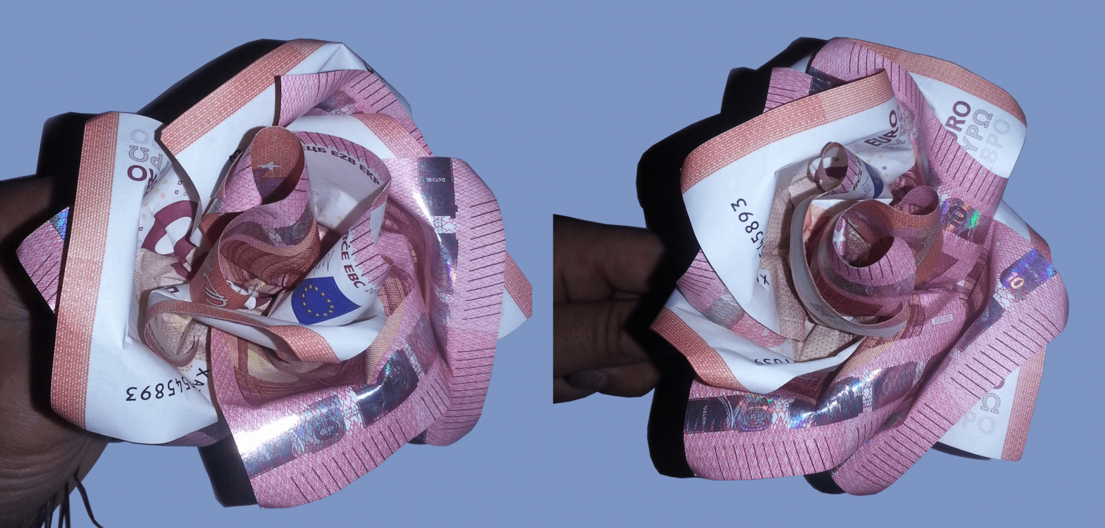 Rose Aus Geldscheinen Falten  Origami Mit Geldscheinen von Blumen Falten Aus Geldscheinen Bild