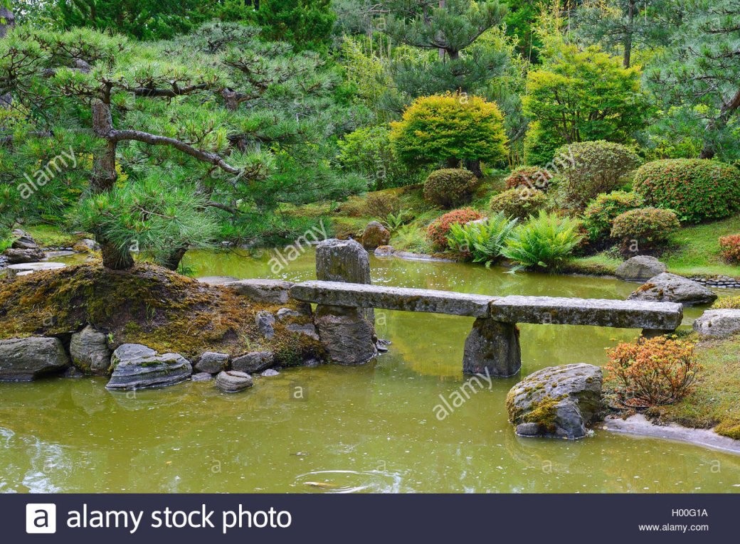 Typischer Japanischer Garten Mit Steindekorationen Und Koiteich von Japanische Deko Für Garten Photo