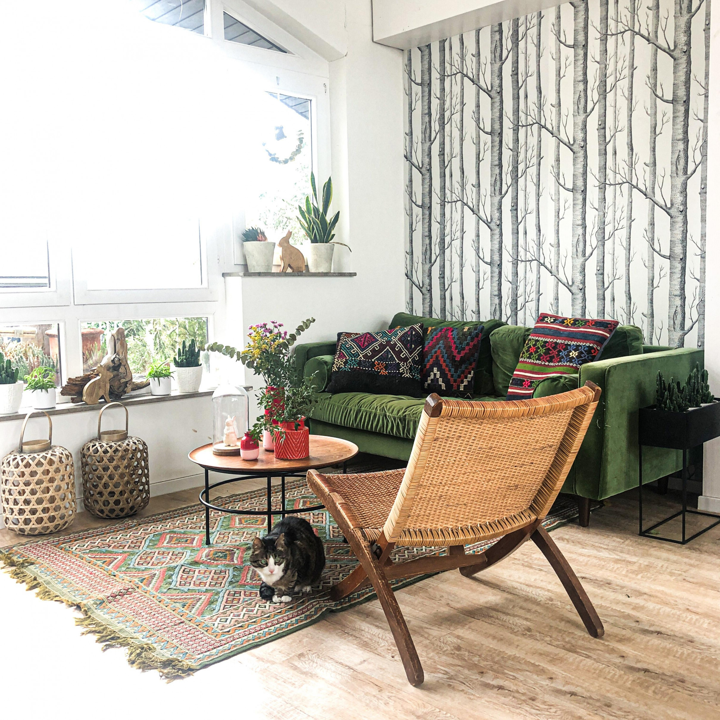 Grünes Sofa • Bilder  Ideen • Couch von Wohnzimmer Ideen Grün Photo