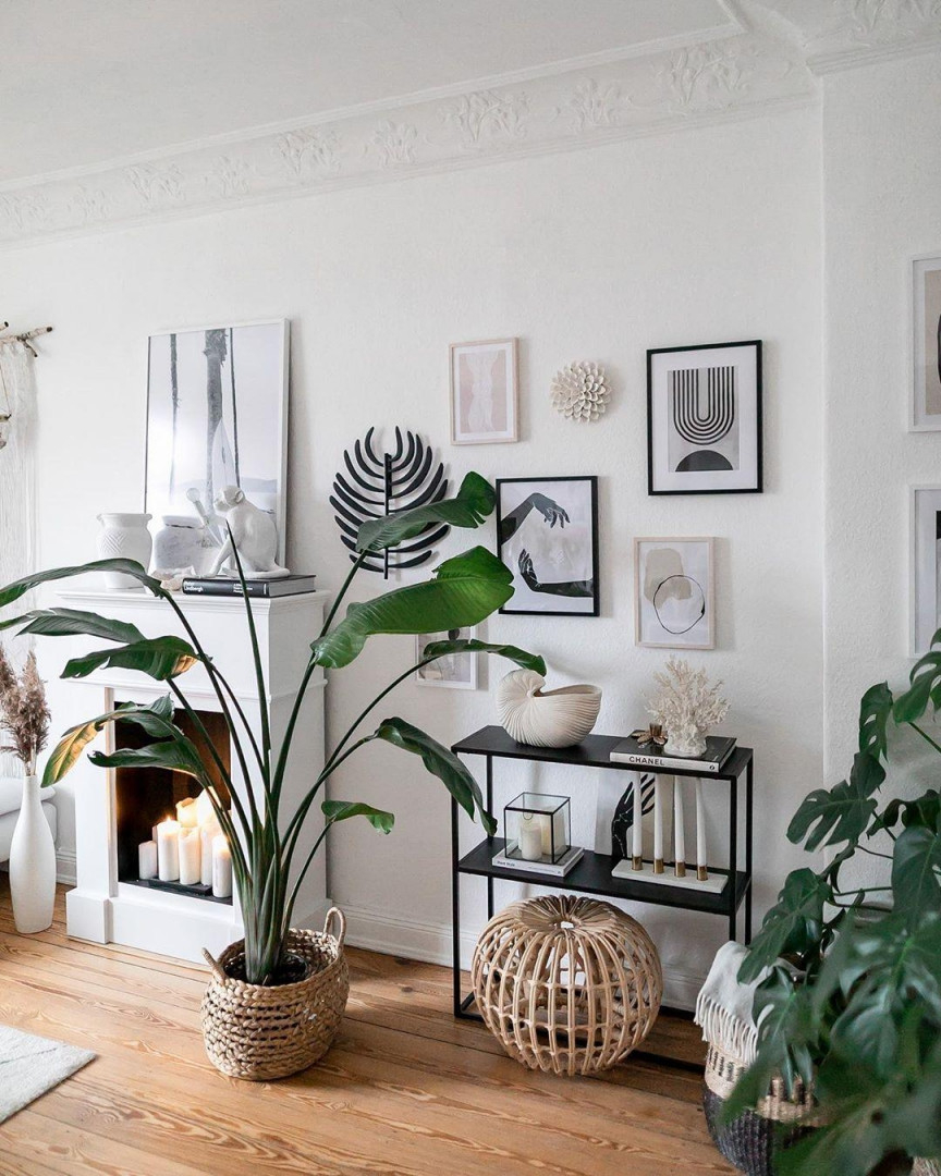 Pflanzenliebe • Bilder  Ideen • Couch von Pflanzen Im Wohnzimmer Ideen Photo